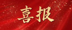 喜報！麥斯克電子再獲多項市級表彰
